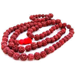 Manufacturers Exporters and Wholesale Suppliers of Panchmukhi Rudraksha Mala Delhi Delhi